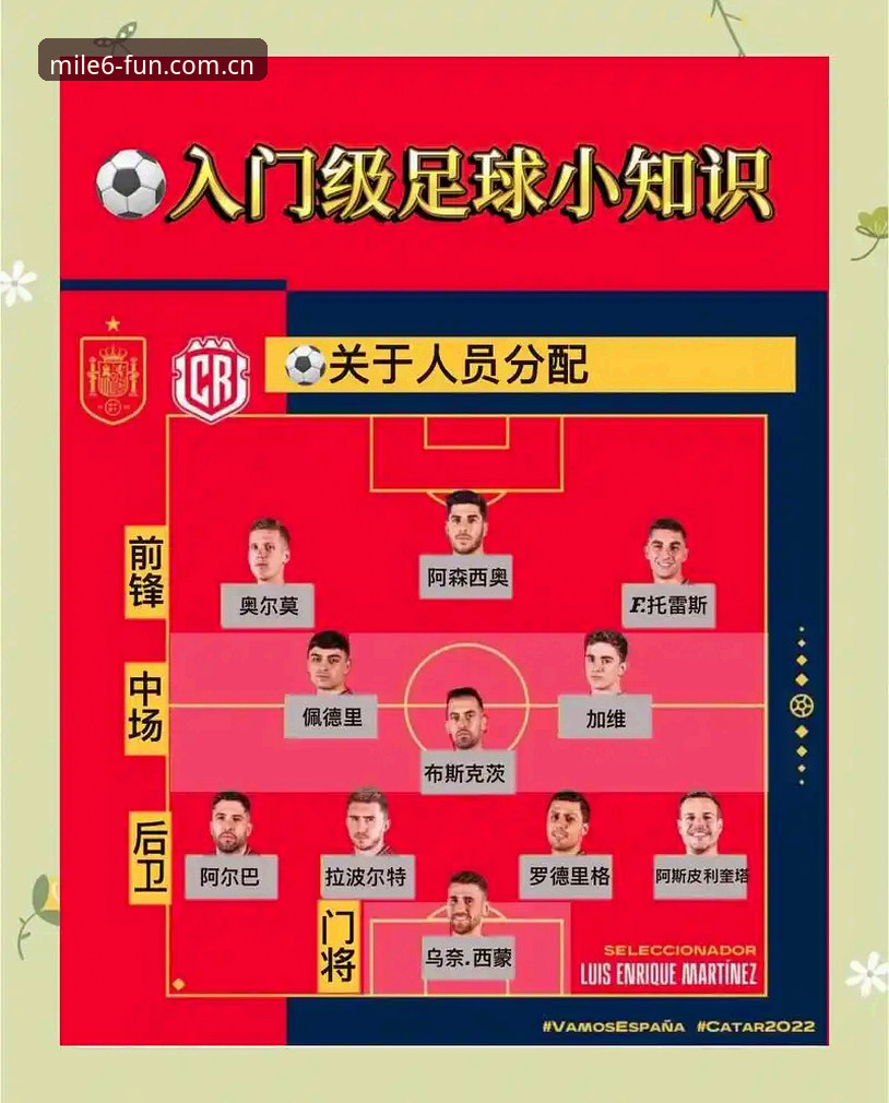 亚洲足球世界杯数据全景详解